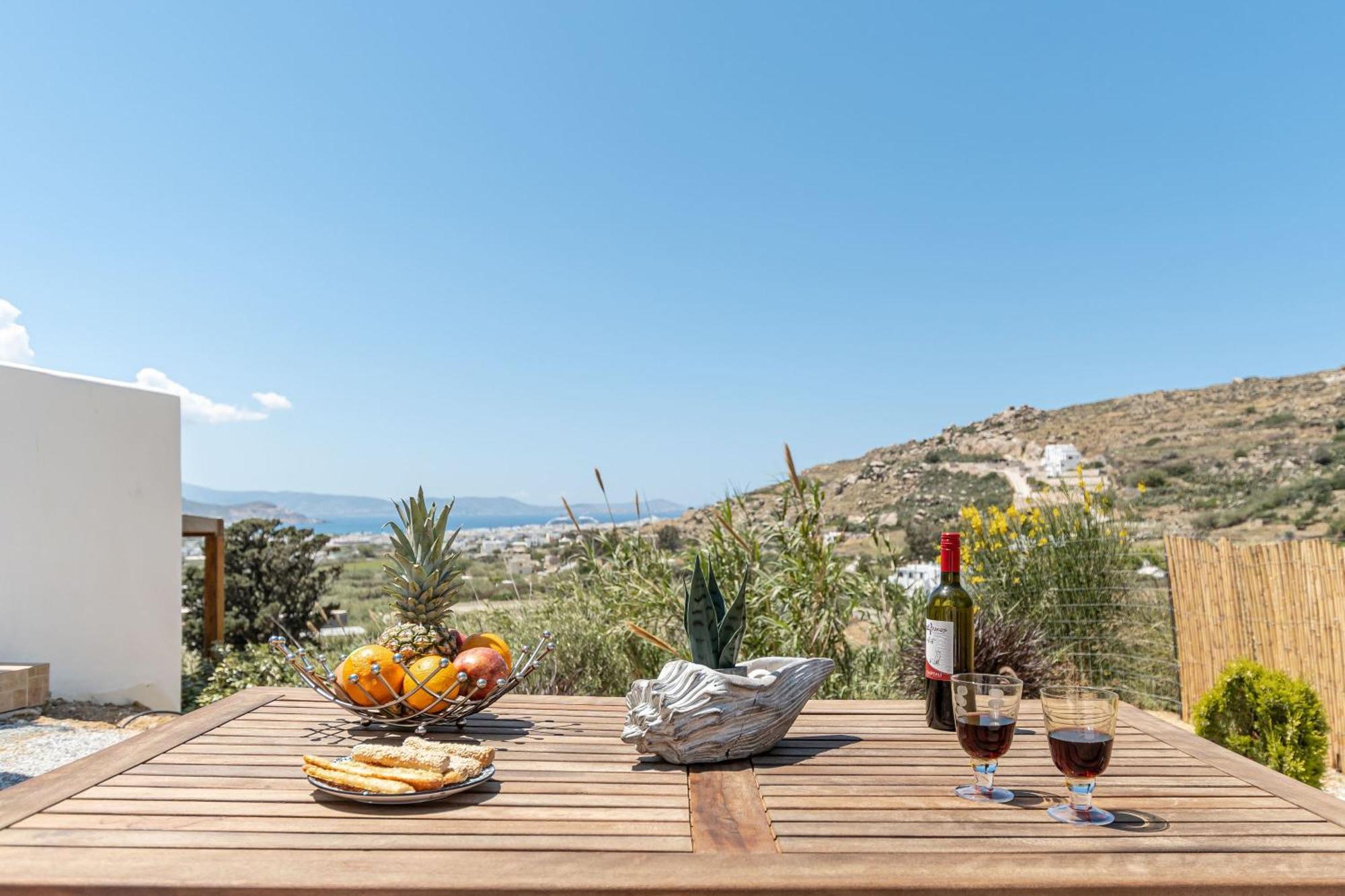 Apartament The Diamonds Of Naxos - Aggidia Agkidia Zewnętrze zdjęcie
